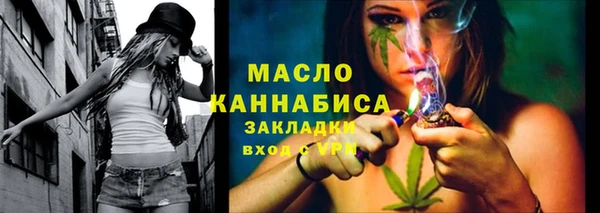 молекула духа Ельня