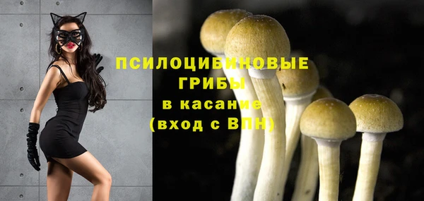 герыч Елизово