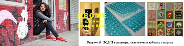 мдпв Дмитриев