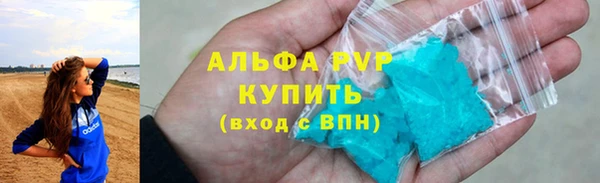 молекула духа Ельня