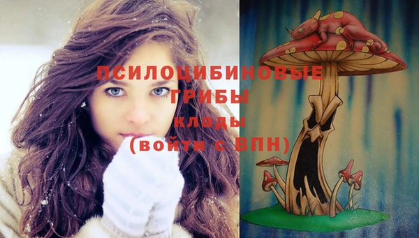мдпв Дмитриев