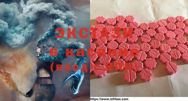 молекула духа Ельня