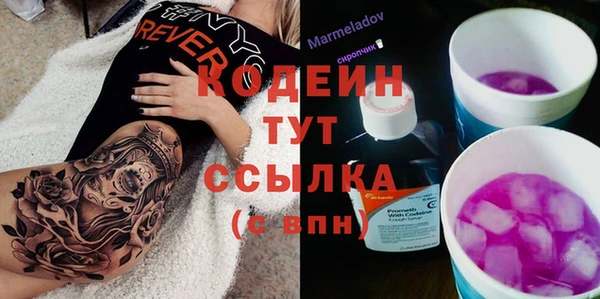 молекула духа Ельня