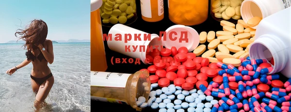 молекула духа Ельня