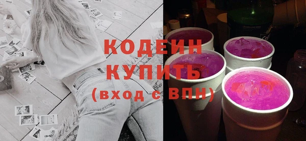 молекула духа Ельня