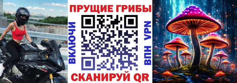 цены наркотик  Нестеров  Галлюциногенные грибы мухоморы 